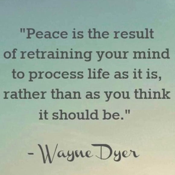 Sincerely Ours Croc Leather, High Waisted, Paper Bag Short in Lilac Croc, Size M - Picture 17 of 17